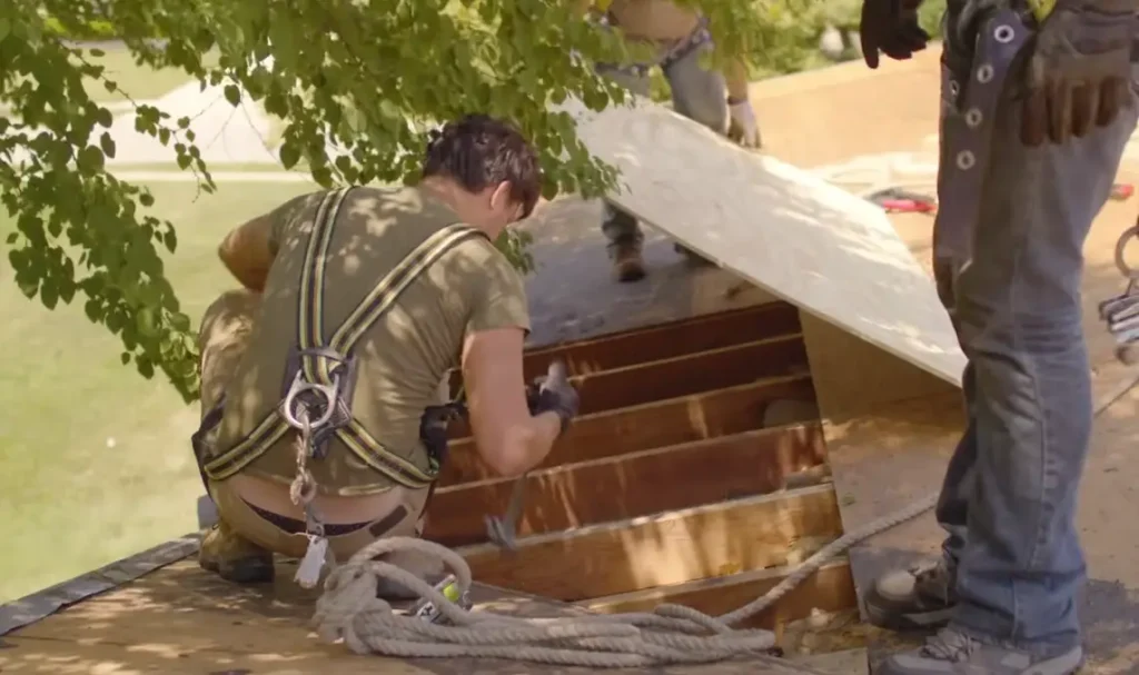 Roofing team members wearing safety harnesses install plywood decking on a roof, with tree branches overhead